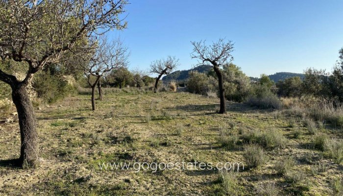 Te koop - Perceel - Land - Benissa - Benissa Centro