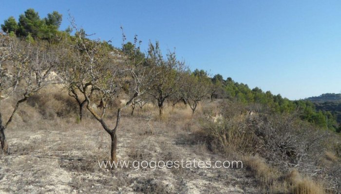 Te koop - Perceel - Land - Benissa - Benissa Centro