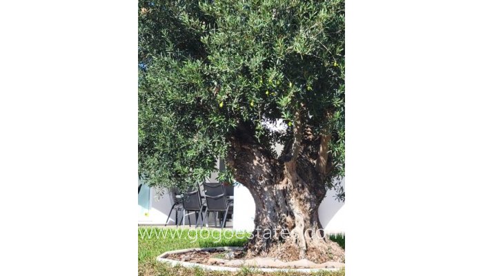 Venta - Casa - Chalet Independiente - Calpe - Calpe Centro