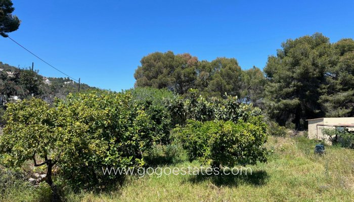 Te koop - Huis - Vrijstaande Villa - Novelda - Estación