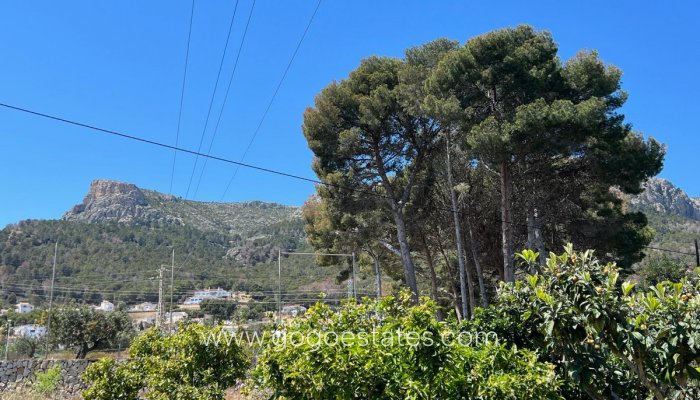 Te koop - Huis - Vrijstaande Villa - Novelda - Estación