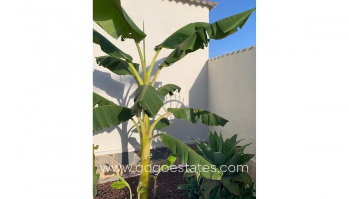 Te koop - Huis - Vrijstaande Villa - Rojales - Ciudad Quesada