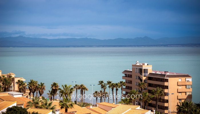 Te koop - Appartement - Begane Grond Appartement - Torrevieja - Torrevieja Centro