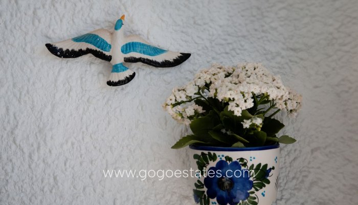 Te koop - Appartement - Begane Grond Appartement - Torrevieja - Torrevieja Centro