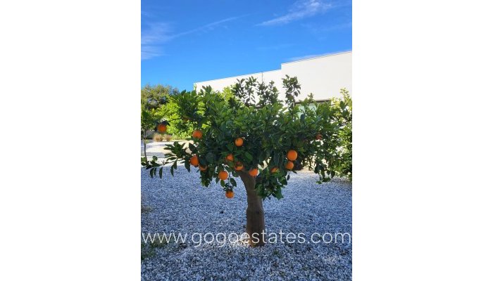 Te koop - Huis - Vrijstaande Villa - Orihuela - Orihuela Centro