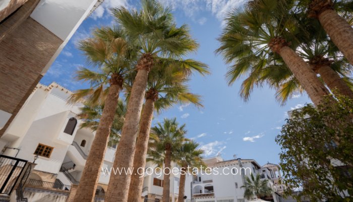 Te koop - Appartement - Begane Grond Appartement - Orihuela - Orihuela Centro