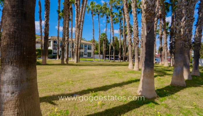 Te koop - Appartement - Begane Grond Appartement - Orihuela - Orihuela Centro