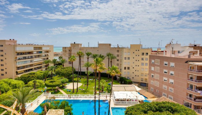 Revente - Appartement - Appartement au rez-de-chaussée - Torrevieja - Playa de los Locos