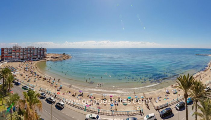 Revente - Appartement - Appartement au rez-de-chaussée - Torrevieja - Playa de los Locos