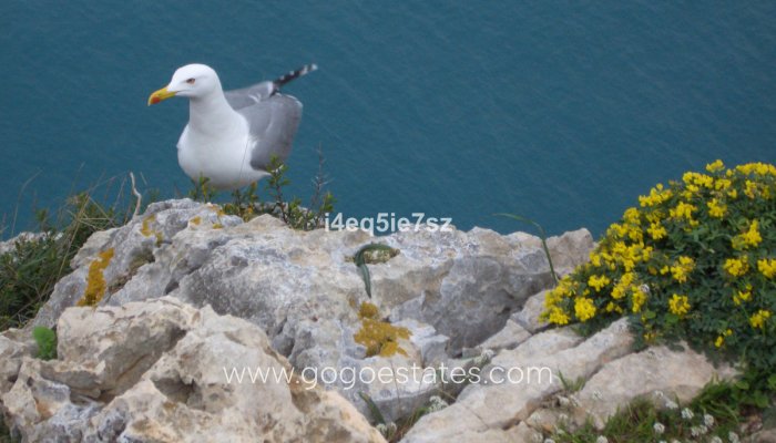 Te koop - Appartement - Begane Grond Appartement - Jávea Xàbia - Jávea - Xàbia Centro