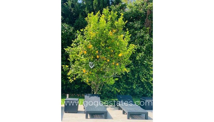 Revente - Maison - Villa Individuelle - Jávea Xàbia - Jávea - Xàbia Centro