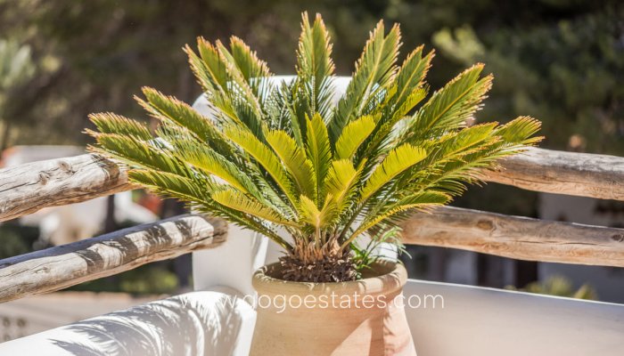 Revente - Maison - Villa Individuelle - Jávea Xàbia - Jávea - Xàbia Centro