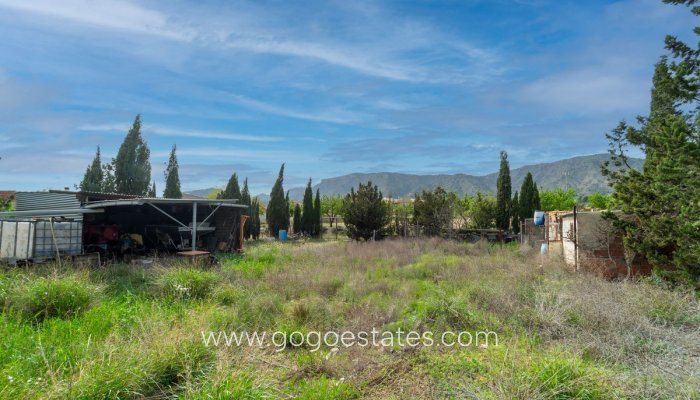 Te koop - Huis - Vrijstaande Villa - Salinas - Salinas Centro