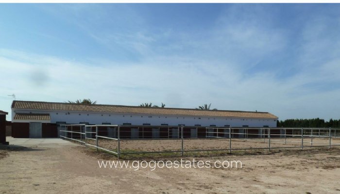 Te koop - Commercieel - Stallen - San Miguel De Salinas - San Miguel de Salinas Centro