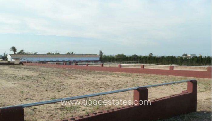 Te koop - Commercieel - Stallen - San Miguel De Salinas - San Miguel de Salinas Centro