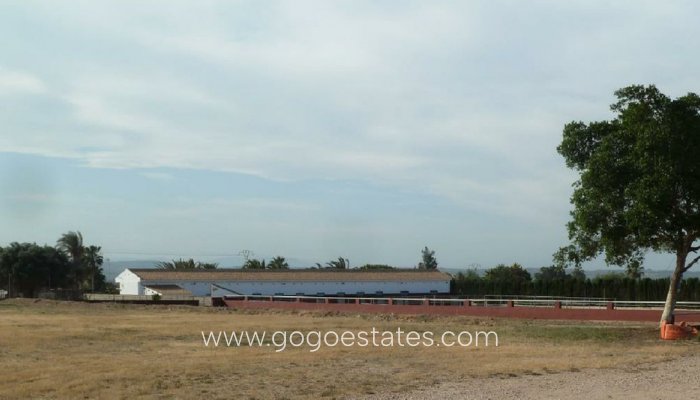 Te koop - Commercieel - Stallen - San Miguel De Salinas - San Miguel de Salinas Centro