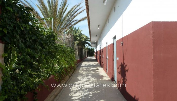 Te koop - Commercieel - Stallen - San Miguel De Salinas - San Miguel de Salinas Centro
