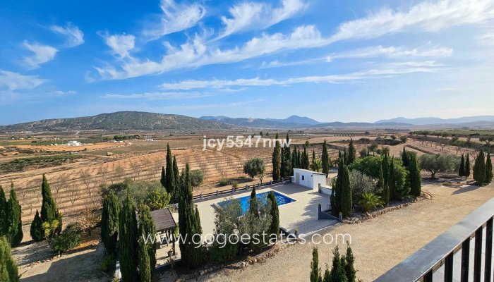 Te koop - Huis - Vrijstaande Villa - Pinoso - Pinoso Centro