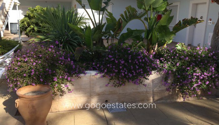 Te koop - Appartement - Begane Grond Appartement - Benissa - La Fustera