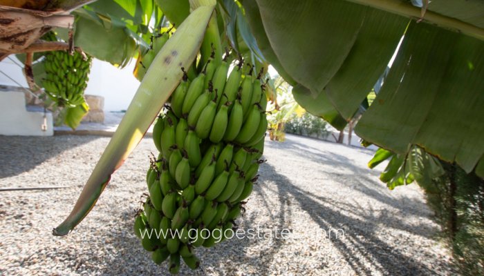 Te koop - Huis - Vrijstaande Villa - Benissa - La Fustera