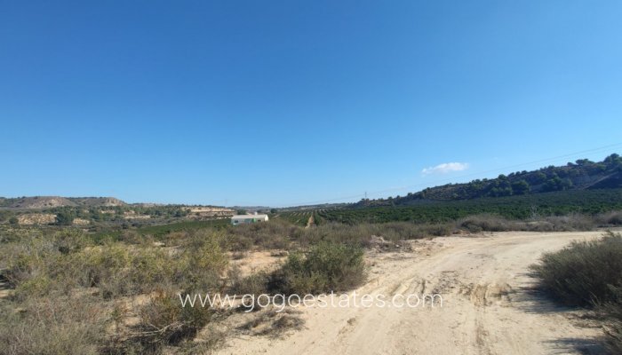 Te koop - Perceel - Woonperceel - Orihuela - Torremendo