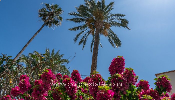 Revente - Appartement - Appartement au rez-de-chaussée - Jávea Xàbia - Jávea - Xàbia Centro