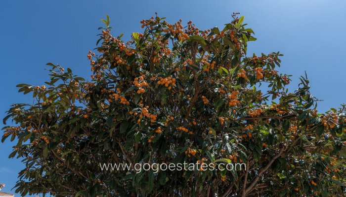 Revente - Appartement - Appartement au rez-de-chaussée - Jávea Xàbia - Jávea - Xàbia Centro