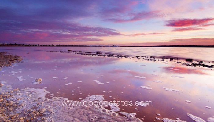 Nieuwbouw - Appartement - Begane Grond Appartement - Torrevieja - Nueva Torrevieja