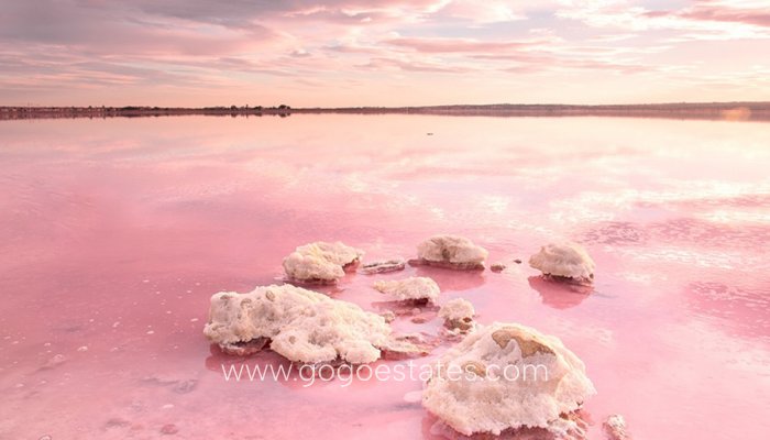 Nieuwbouw - Appartement - Begane Grond Appartement - Torrevieja - Nueva Torrevieja