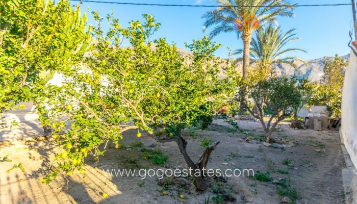 Te koop - Huis - Finca - Cortijo - Orihuela - Orihuela Centro