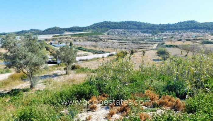 Te koop - Huis - Finca - Cortijo - Orihuela - Torremendo