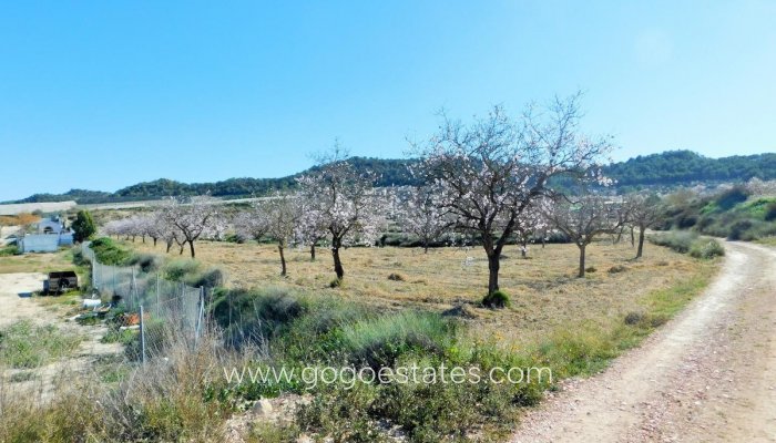Te koop - Huis - Finca - Cortijo - Orihuela - Torremendo