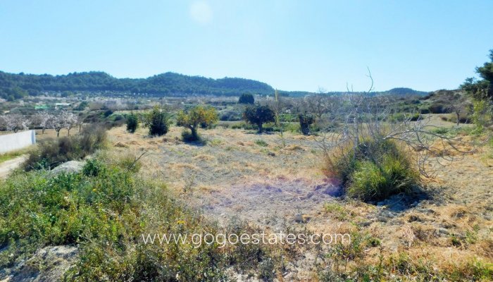 Te koop - Huis - Finca - Cortijo - Orihuela - Torremendo