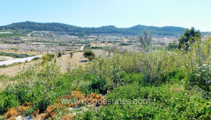 Te koop - Huis - Finca - Cortijo - Orihuela - Torremendo