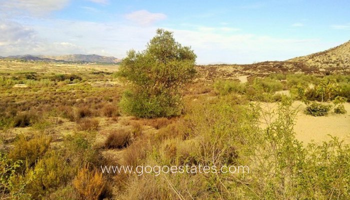 Te koop - Perceel - Land - Orihuela - Torremendo