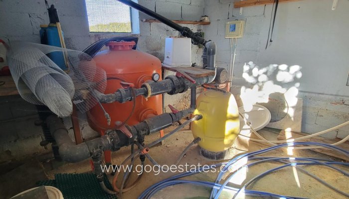 Te koop - Huis - Finca - Cortijo - San Miguel De Salinas - San Miguel de Salinas Centro