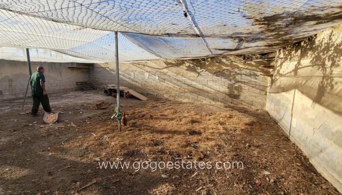 Te koop - Huis - Finca - Cortijo - San Miguel De Salinas - San Miguel de Salinas Centro