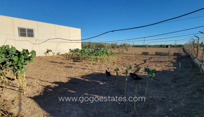 Te koop - Huis - Finca - Cortijo - San Miguel De Salinas - San Miguel de Salinas Centro