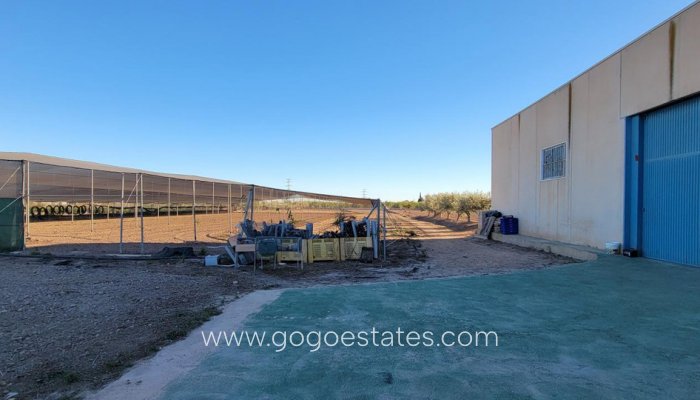 Te koop - Huis - Finca - Cortijo - San Miguel De Salinas - San Miguel de Salinas Centro