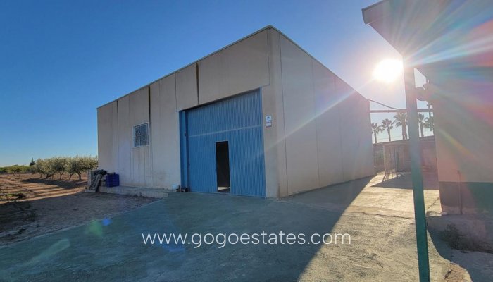 Te koop - Huis - Finca - Cortijo - San Miguel De Salinas - San Miguel de Salinas Centro