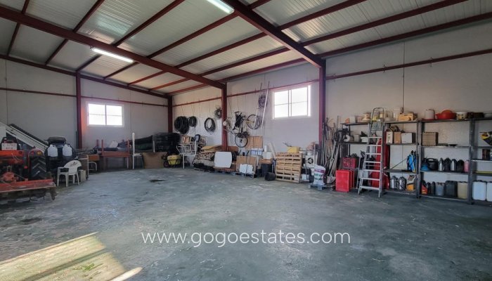 Te koop - Huis - Finca - Cortijo - San Miguel De Salinas - San Miguel de Salinas Centro