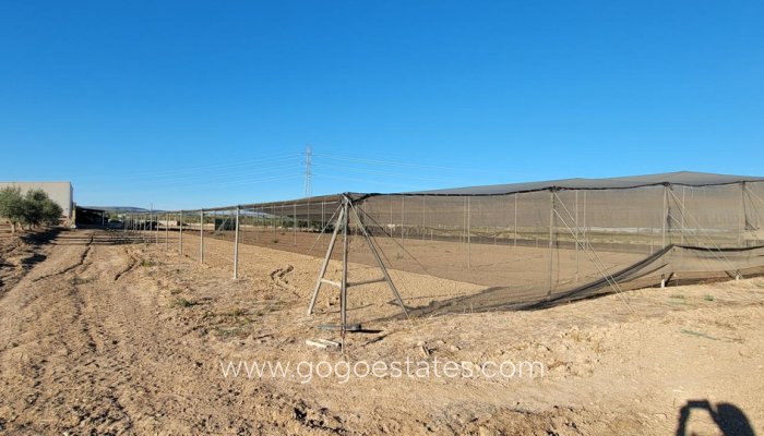 Te koop - Huis - Finca - Cortijo - San Miguel De Salinas - San Miguel de Salinas Centro