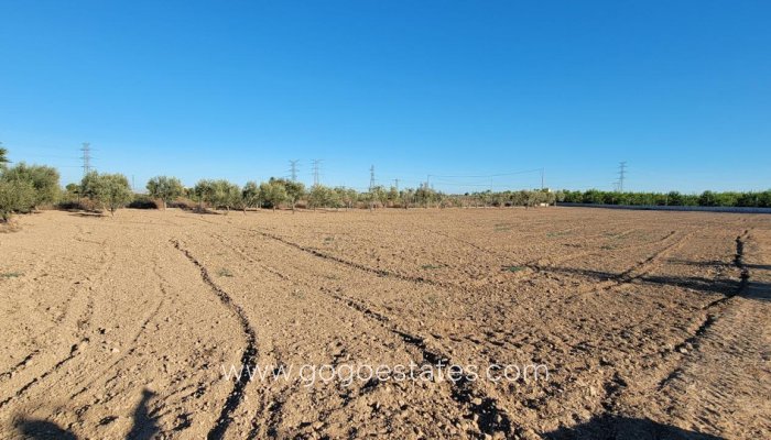 Te koop - Huis - Finca - Cortijo - San Miguel De Salinas - San Miguel de Salinas Centro