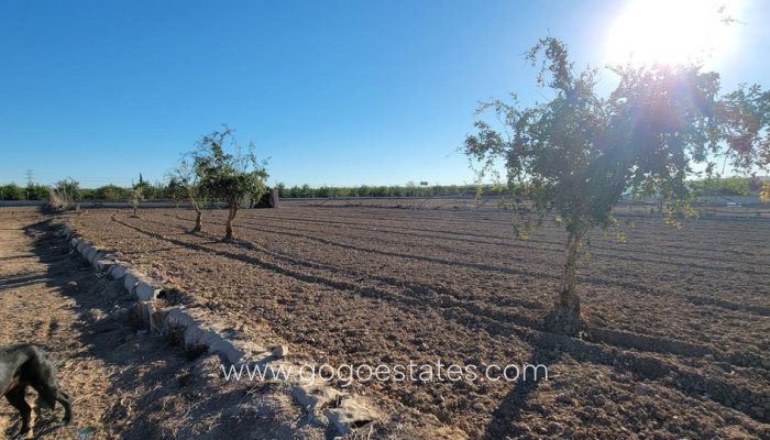 Te koop - Huis - Finca - Cortijo - San Miguel De Salinas - San Miguel de Salinas Centro