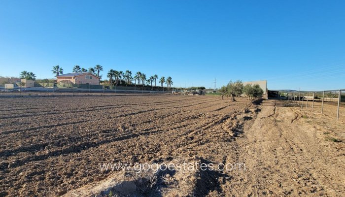 Te koop - Huis - Finca - Cortijo - San Miguel De Salinas - San Miguel de Salinas Centro