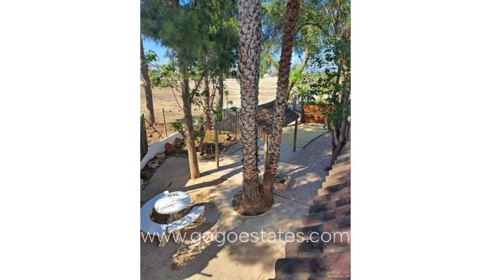 Te koop - Huis - Vrijstaande Villa - Orihuela - Orihuela Centro