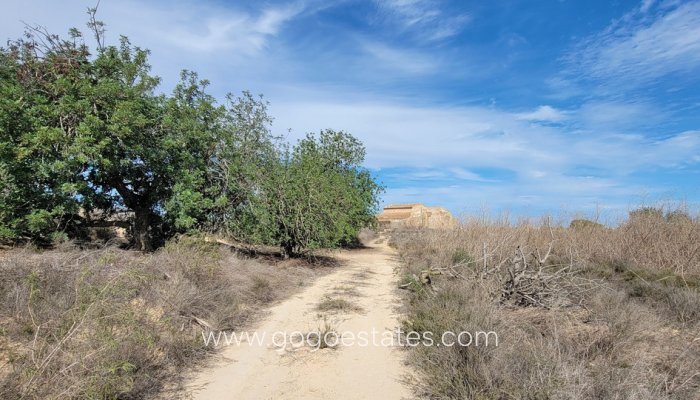 Te koop - Huis - Finca - Cortijo - San Miguel De Salinas - San Miguel de Salinas Centro