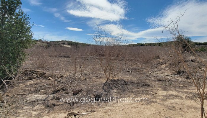 Te koop - Huis - Finca - Cortijo - San Miguel De Salinas - San Miguel de Salinas Centro