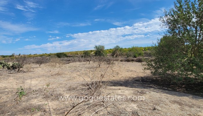 Te koop - Huis - Finca - Cortijo - San Miguel De Salinas - San Miguel de Salinas Centro