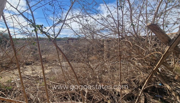 Te koop - Huis - Finca - Cortijo - San Miguel De Salinas - San Miguel de Salinas Centro